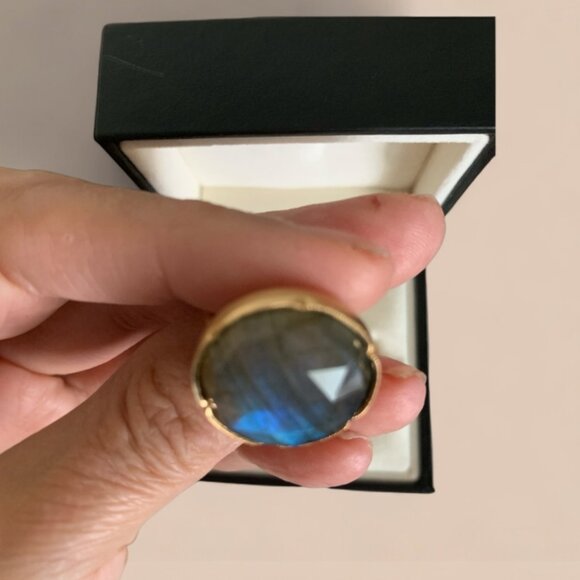 Irene Neuwirth large round rose-cut rainbow labrodorite in 18k rose gold ring - Picture 3 of 7